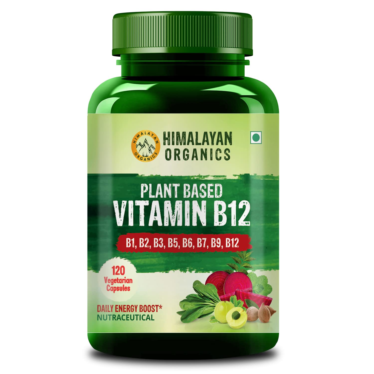 Himalayan Organics Plant Based Vitamin B12 Vegetarian Capsules - 120 Caps