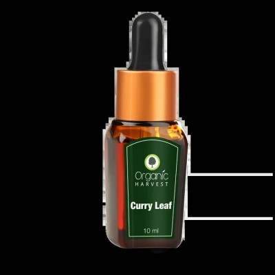 Organic Harvest Curry Leaf Essential Oil - 10 ML