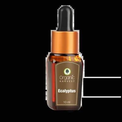 Organic Harvest Eucalyptus Essential Oil - 10 ML