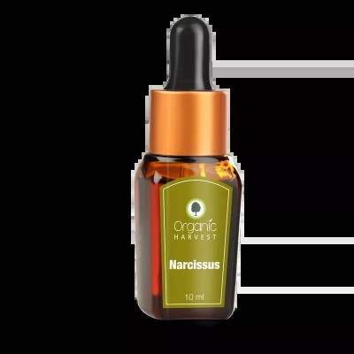 Organic Harvest Narcissus Essential Oil - 10 ML