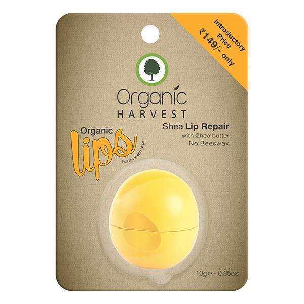 Organic Harvest Shea Lip Balm - 10 GM