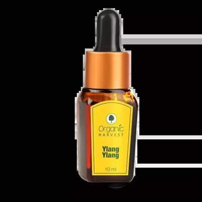 Organic Harvest Ylang Ylang Essential Oil - 10 ML