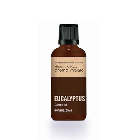 Aroma Magic Eucalyptus Eucalyptus Essential Oil - 20 ML