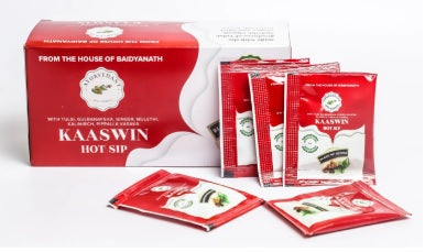 Baidyanath Ayurvedant Kaaswin Hot Sip - 30 Sachets