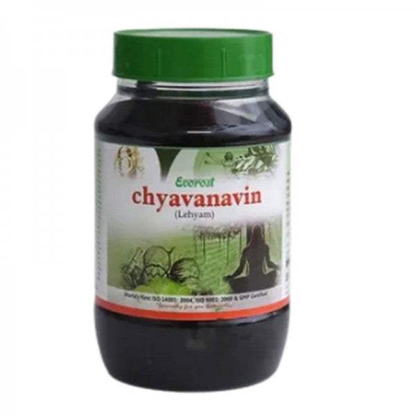 Everest Ayurveda Chyavanavin - 450 GM