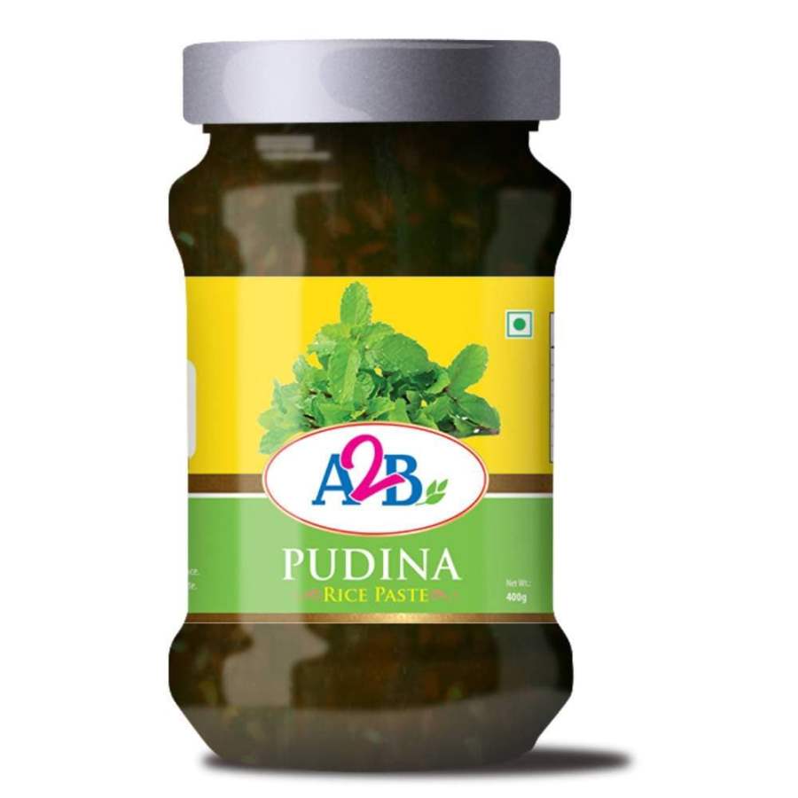 Adyar Ananda Bhavan Pudina Rice Paste - 400 GM