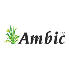 Ambic