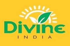 Divine India